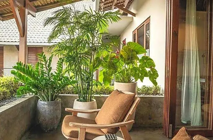 Vassani 3* Canggu