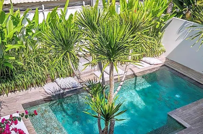 Vassani Canggu